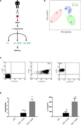 Specific transcriptional programs differentiate ICOS from CD28 costimulatory signaling in human Naïve CD4+ T cells